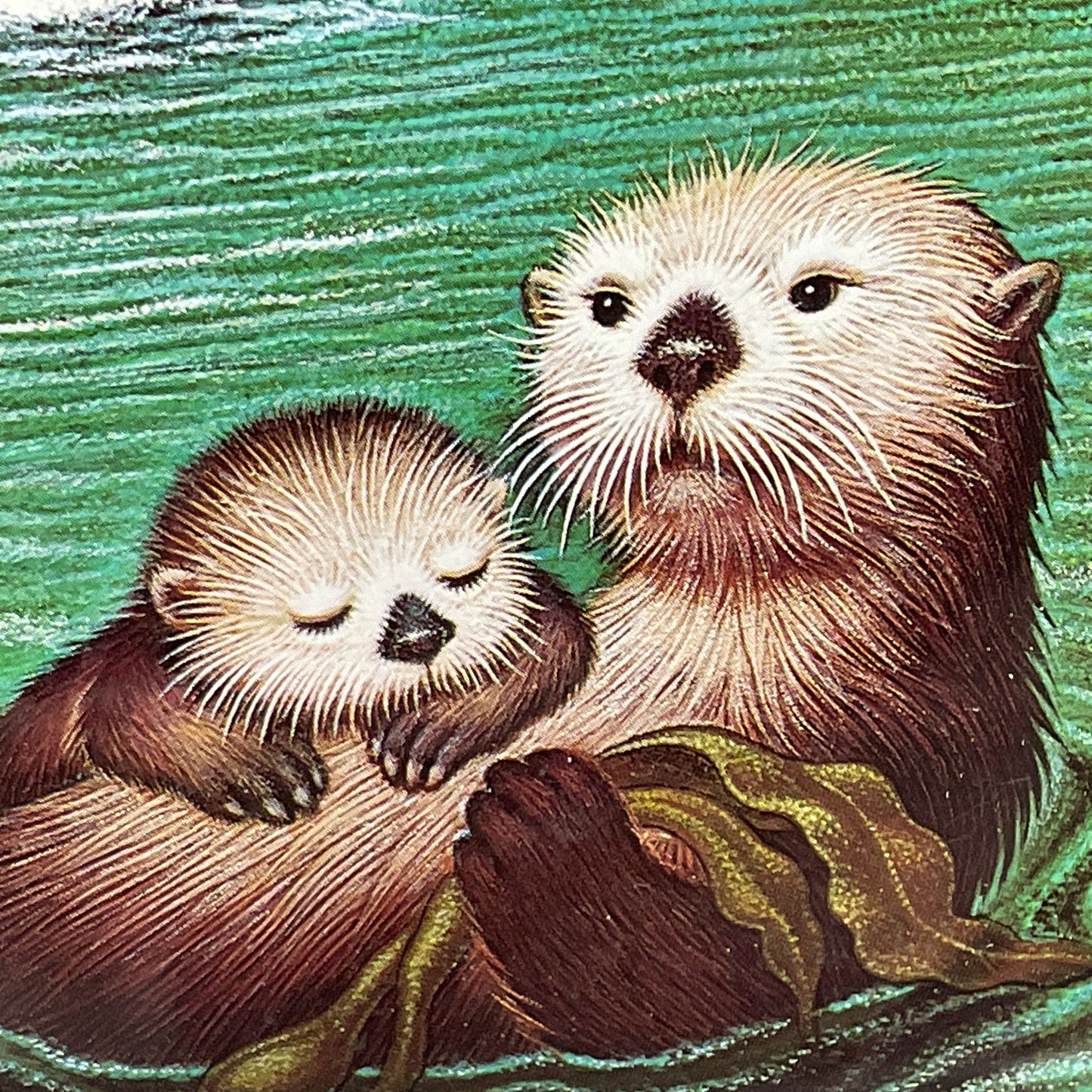 Set of 2 Signed K CHIN "The Friendly Otters" "The Friendly Otter Family" Prints