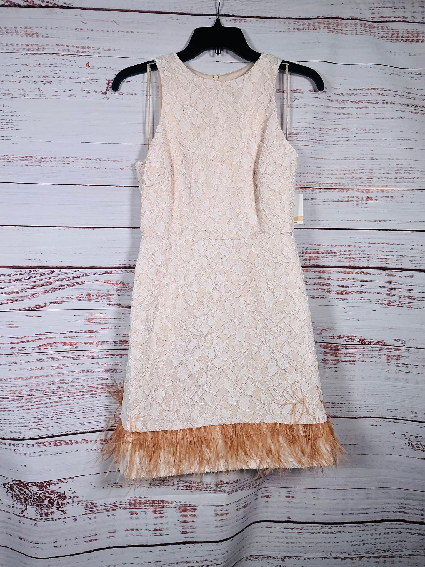 Taylor NWT Sleeveless Dress Feather Trim